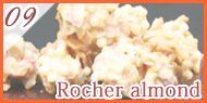 Rocher almond VFA[h